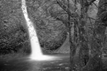 176-foot roadside Horsetail Falls waterfall located in Oregon