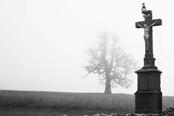 Holy Cross and Tree of Life Behind Fog