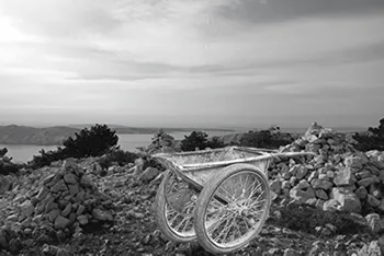 Two-Wheeled Wheelbarrow with Large Metal Bin