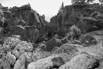 Rock Fissure in Waterfront Rock Palisades