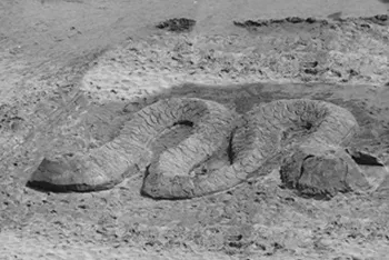 A Snake Sculpture Made of Sand