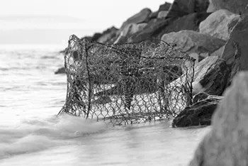 An Image of a Crab Pot on the Shore
