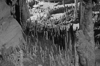 stalagmites inside a cave